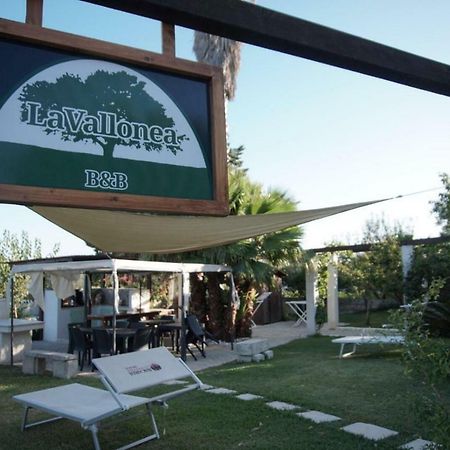 La Vallonea Casamassella ภายนอก รูปภาพ
