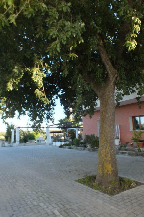 La Vallonea Casamassella ภายนอก รูปภาพ