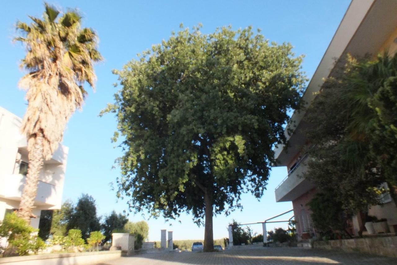 La Vallonea Casamassella ภายนอก รูปภาพ
